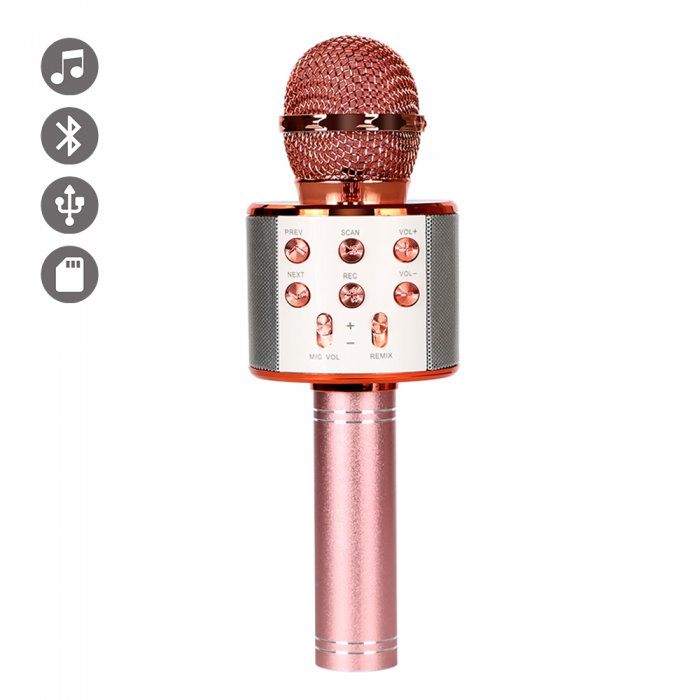 3€13 sur Machine à Karaoke Haut-Parleur Bluetooth Sans Fil 2 Mircophones  Radio Fm - Rose Gold - Lecteur Karaoké - Achat & prix