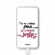 Batterie verre trempé 8000mAh Je Constate Juste Motif Ecriture Tendance Evetane