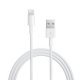 Chargeur Lightning Blanc iPhone 5