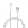 Cable Lightning Blanc iPhone 5 / 5C / 5S