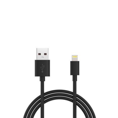 Câble Lightning compatible avec iPhone 11 Pro MFI de charge & de synchronisation - 1 metre