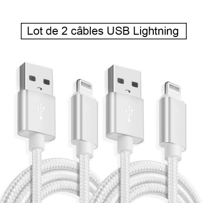 Lot de 2 câbles USB Lightning en nylon 2 m - Argent