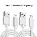 Lot de 2 câbles USB Lightning en nylon 2 m - Argent