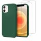 Coque iPhone 12 Mini Silicone liquide Vert Foret + 2 Vitres en Verre trempé Protection écran Antichocs