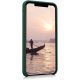 Coque iPhone X/XS Silicone liquide Vert Foret + 2 Vitres en Verre trempé Protection écran Antichocs