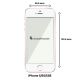 Coque iPhone 5/5S/SE anti-choc souple avec angles renforcés transparente, Pour Sortir Entre Filles, La Coque Francaise®