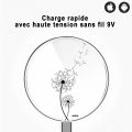 Chargeur Induction contour argent blanc Pissenlit Evetane