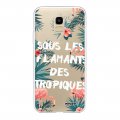 Coque Samsung Galaxy J6 2018 360 intégrale transparente Flamants des tropiques Tendance Evetane.