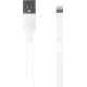 Câble blanc de charge et synchronisation USB/lightning 20 cm