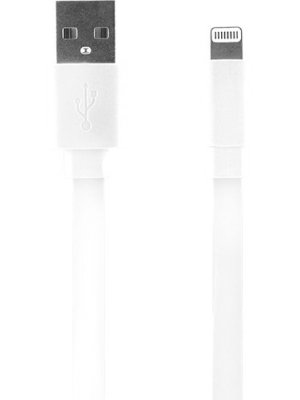 Câble blanc de charge et synchronisation USB/lightning 20 cm