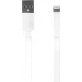 Câble blanc de charge et synchronisation USB/lightning 20 cm