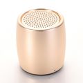 Mini enceinte portative Bluetooth - Effet métal brossé or