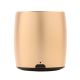 Mini enceinte portative Bluetooth - Effet métal brossé or