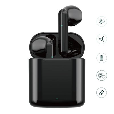 Écouteurs Sans Fil avec Boîtier de Charge- Bluetooth 5.0 / 450mAh noir