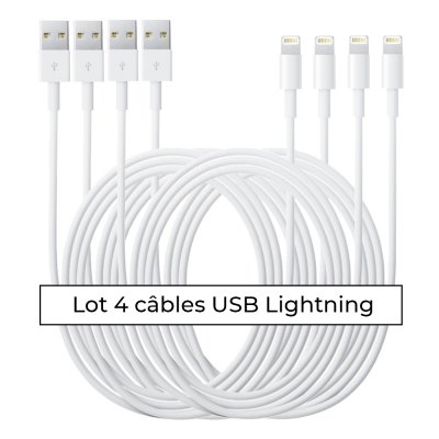 Lot 4 câbles Lightning blanc