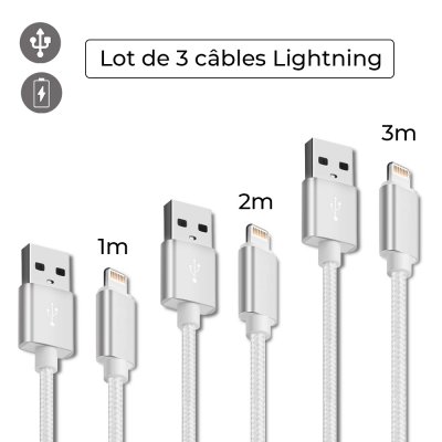 Lot 3 câbles Lightning 1 m-2m-3m argent